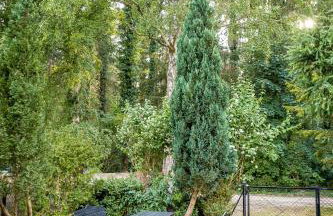 Apartamenty u Darka - Foto 1