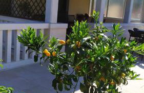 Villa Pina Lumbarda - Foto 47