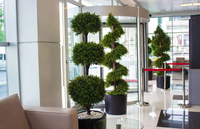 D&D Suites Flora - Foto 33