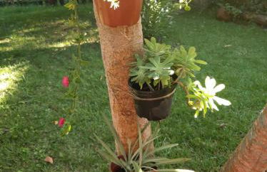 Casa do Sr. Falcão - Foto 59