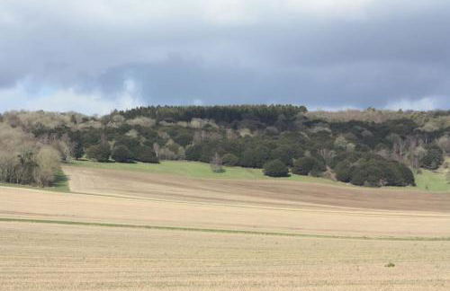 The Hen House - Photo 35