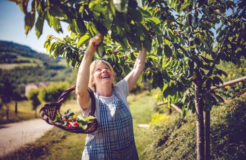 Agriturismo Casal San Sergio - Photo 68