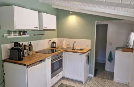 Gecko Pego Longo - Foto 8