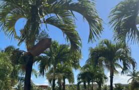 Apartamento no Condomínio Iberostate Praia do Forte - Foto 1