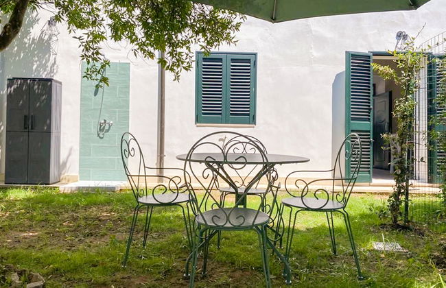 Spicchi di Salento - Mandarino - Photo 5