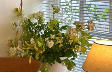 Four Seasons Cottage - in the Cotswolds - Foto 17