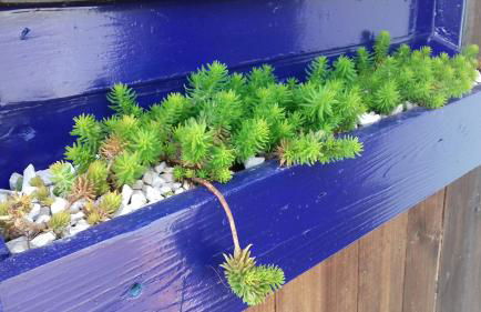 Casa Lantana - Foto 78