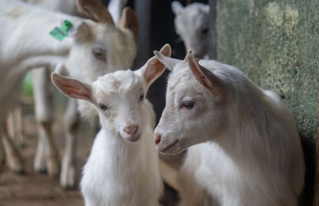 The Cavern - Foto 25