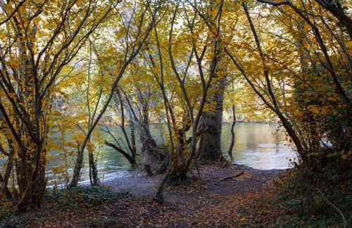 Anguiano Habitaciones rurales con baño privado - Foto 7