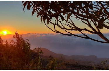 Casa Tío Pedro Martín - Foto 16