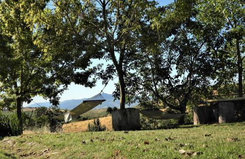 Quinta da Alagoa - Foto 38