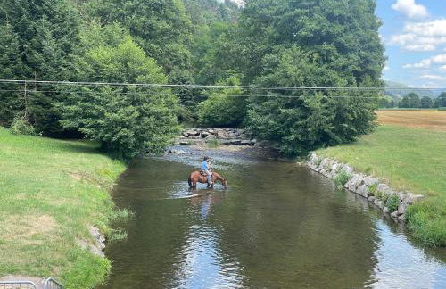 Morgensonne - Foto 27