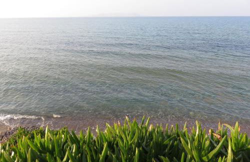 Frosso's Sea Apartments - Foto 44