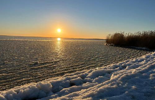 Rosenhaus Nähe Bodden und Ostsee an den Kranichfeldern - Foto 33