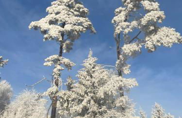 Ferienwohnung Aussicht, Monheimer Alb, Altmühltal - Foto 49