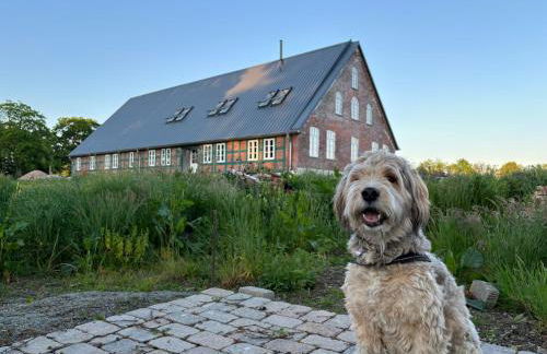 Leben im Denkmal - Ganz modern - Foto 18