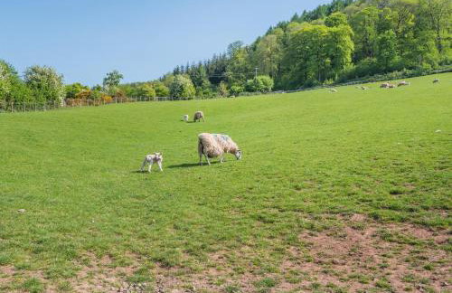 1 Bed in Hereford oc-79575 - Foto 25