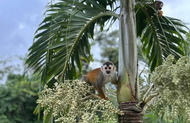 Vista del Pacifico Boutique Hotel - Photo 53