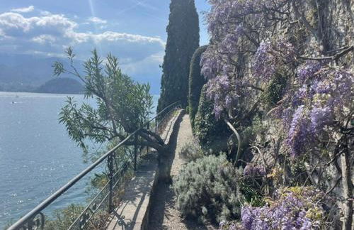 CAPI SUITE - Foto 23