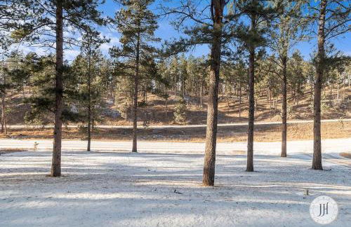 Elk Ridge Fire Place Custer - Foto 30