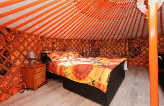 Orange Yurt With Hot Tub- Sleeps 3, Parking & Wifi - Photo 4