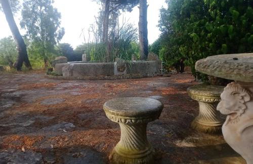 Agriturismo Teatro del grano - Foto 3