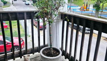 Cozy Classic with Queen Size Bed - Foto 2