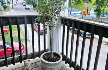 Cozy Classic with Queen Size Bed - Foto 2