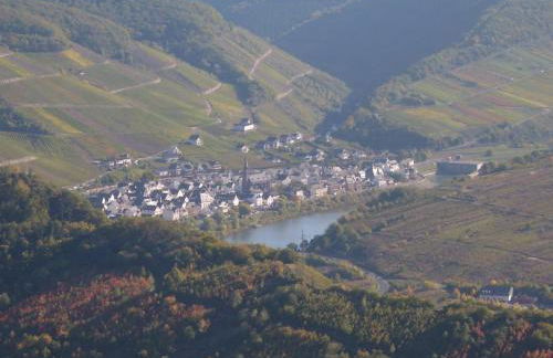 Moselblick - Foto 23