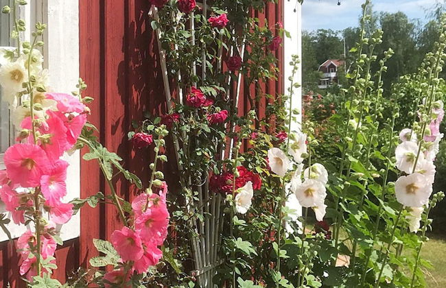 5 Person Holiday Home in Farbo - Foto 25