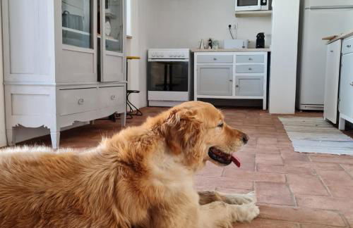 Casa Magana em Grândola - Foto 21