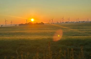 my-tinyhouse - Foto 20