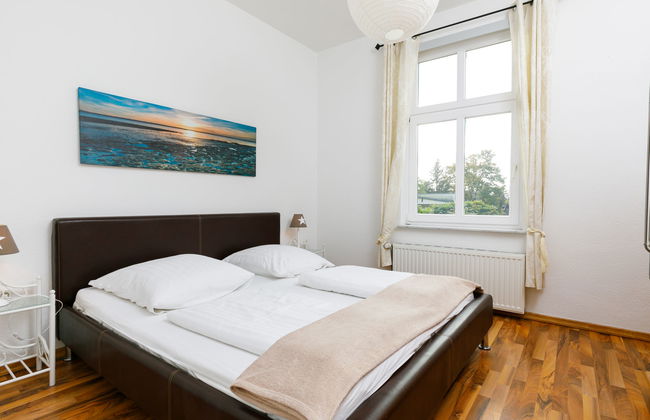 Sonnenblume - Foto 16