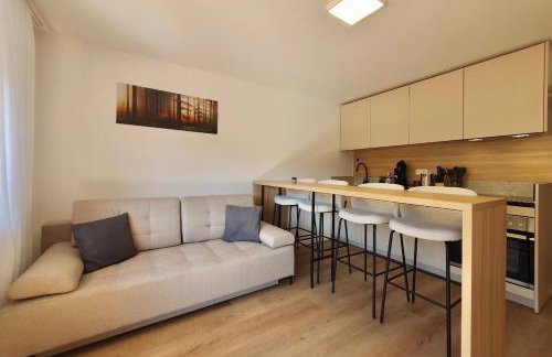 Schwarzwald Zartenbach Apartments - Photo 4