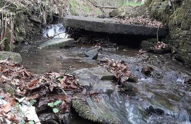 Beautiful countryside cottage, sleeps 6, dogs welcome - Foto 10