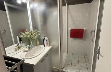 Meublé Les Dômes du Parc 6ème - Foto 18