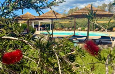 Is Cheas wine farm boutique hotel - Foto 30