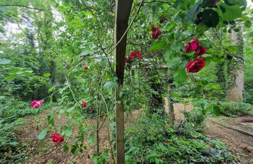 Ferienhaus Thymian in Hatten bei Oldenburg - Idyllische Waldlage - Foto 54