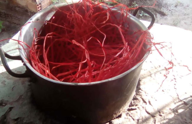 Excursão privada a Tapuio e à Casa de Mulheres Artesãs de Marcelino - Foto 6