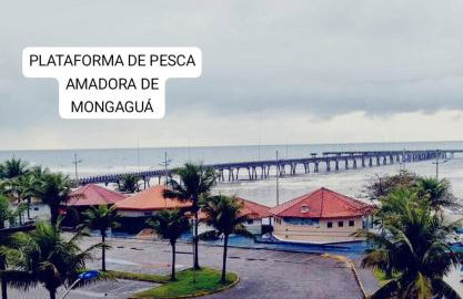 Piscina e Churrasqueira - 8 minuto a pé da Praia - Photo 49