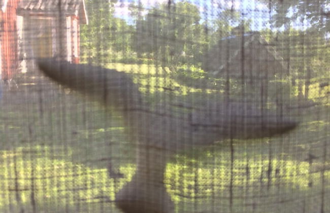 Swedish Idyll - Foto 16