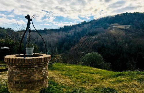 Azienda agricola biologica Le Lucciole - Foto 15