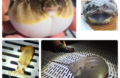 Relax,Fish,Grill,Chill! Pup,Kid Friendly Riverfront Paradise! Amenities,Gameroom - Foto 41