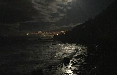 Los Alenes en Flor - Foto 13