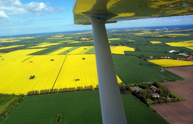 Ein Bett im Norden Nr. 7 - Foto 74