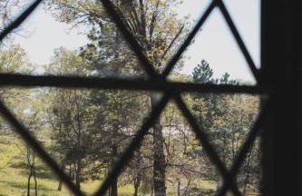 Secluded rustic 3-bedroom cabin on private land - Photo 21