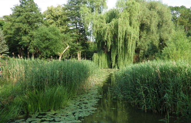 Glammseehaus Ulla Comfortable Holiday Residence - Foto 19