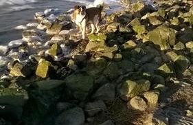 Ferienhaus Kornew OG - Foto 28