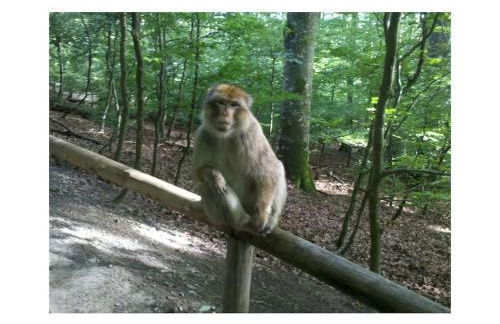 Guesthouse Trostelhof 4 - Photo 32