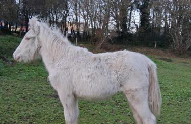 Apartamento Estilo Americano - Foto 41